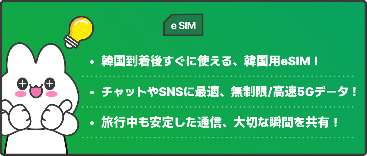 e-sim Description